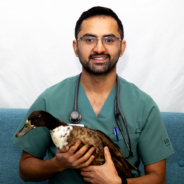 Dr. Subash Dhakal Grande Prairie Veterinarian