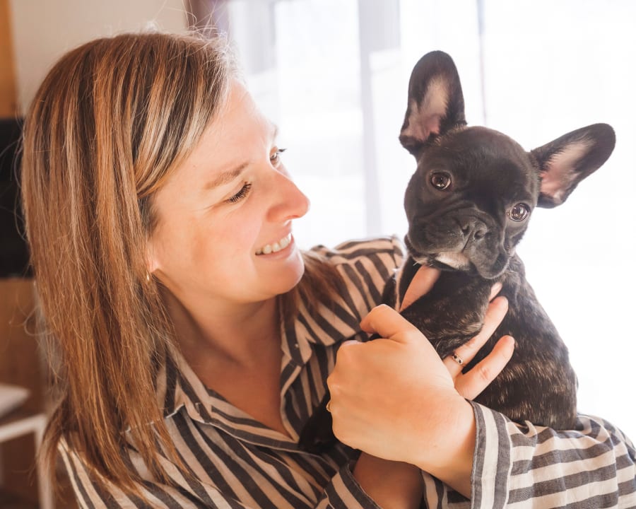 Dental Care, Grande Prairie Vet