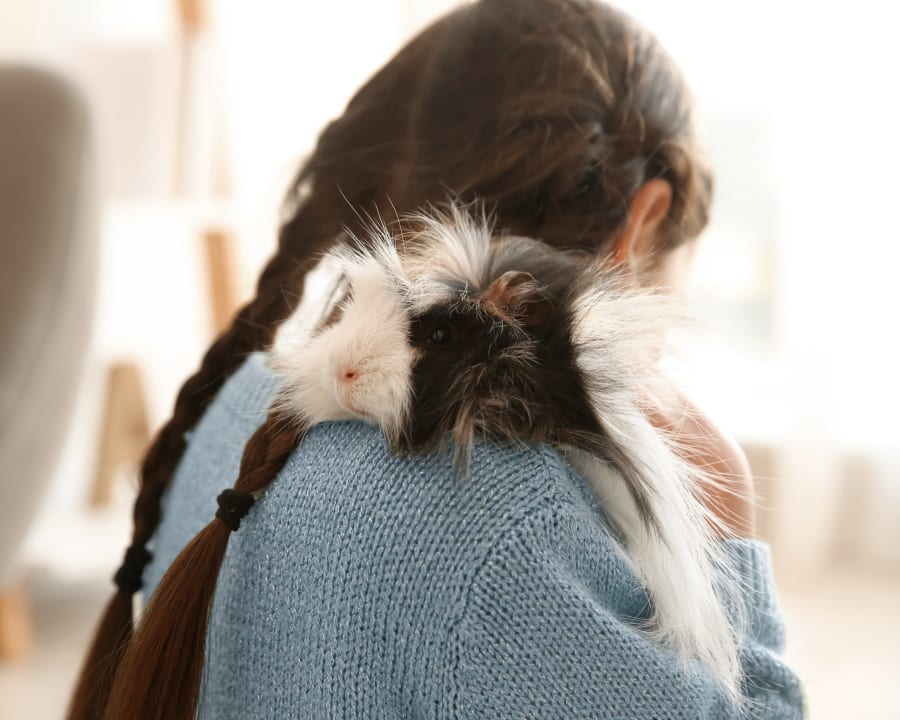 Avian & Exotic Pet Services, Grande Prairie Veterinarians