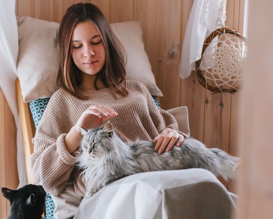 Geriatric Care for Pets, Grande Prairie