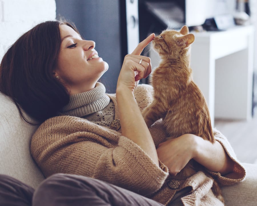 Spaying & Neutering, Grande Prairie Veterinarians